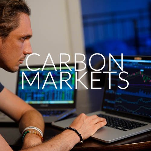 carbon markets3